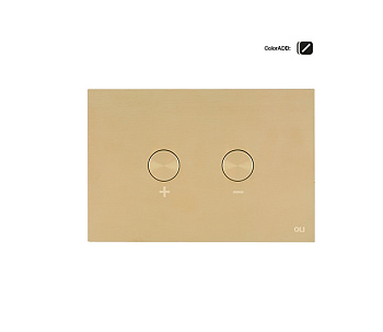 878781 Панель пневм. двойная BLINK, сталь, белое золото, антиванд., OLI